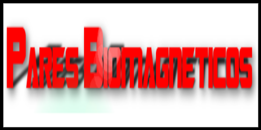 Proyecto 9